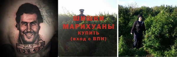 тгк Богородицк