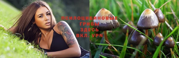 ГАЛЛЮЦИНОГЕННЫЕ ГРИБЫ Белокуриха